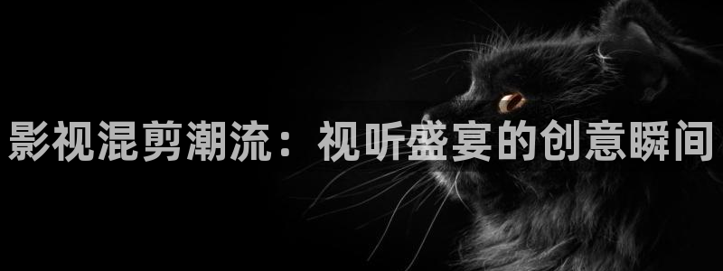 八戒电影策驰影院：影视混剪潮流：视听盛宴的创意瞬间