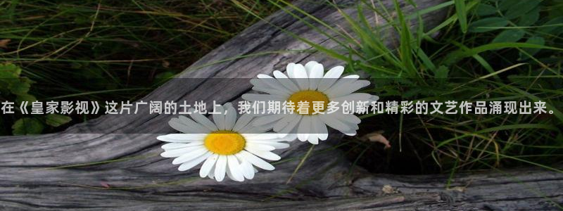 八戒电影院手机在线：在《皇家影视》这片广阔的土地上，我们期待着更多创新和精彩的文艺作品涌现出来。