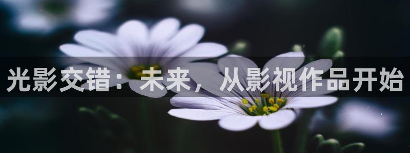 八戒神马影院免费观看：光影交错：未来，从影视作品开始